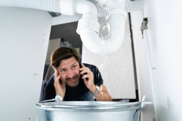 Best Local Plumber Services  in Logan Elm Village, OH