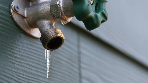 Best Plumbing Inspection Services  in Logan Elm Village, OH